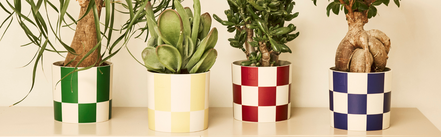 blocks & stripes 15cm meadow green